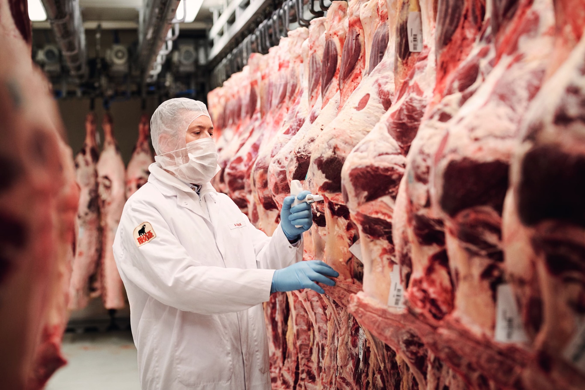 Fleischereimitarbeiter Mitarbeiter in der Fleischerei überprüft das Fleisch