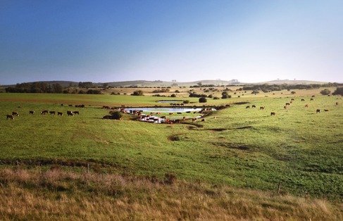 Unsere gemeinsame Verantwortung